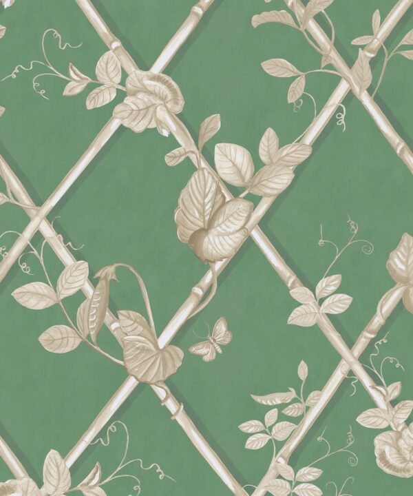 Grande Ivy Wallpaper • Dark Green & Cane • Swatch