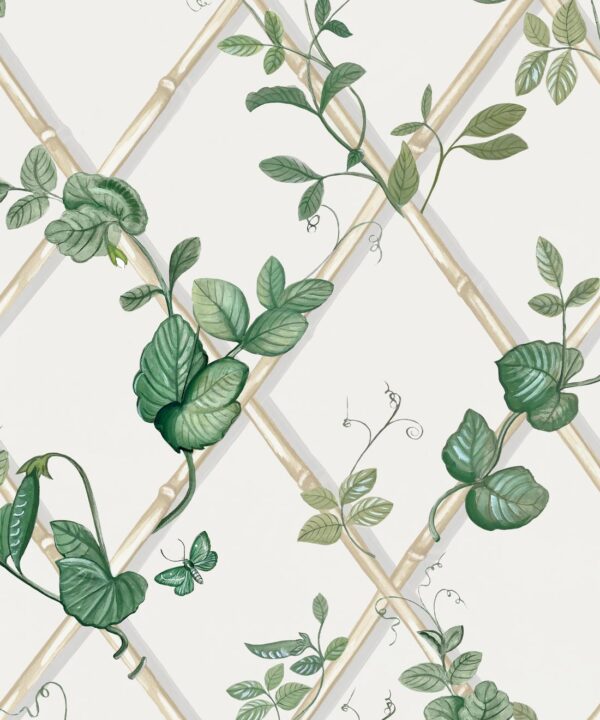 Grande Ivy Wallpaper • Irish Linen & Cane • Swatch