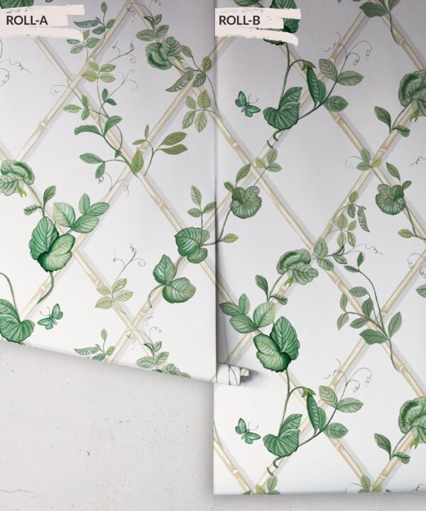 Grande Ivy Wallpaper • Irish Linen & Cane • Rolls