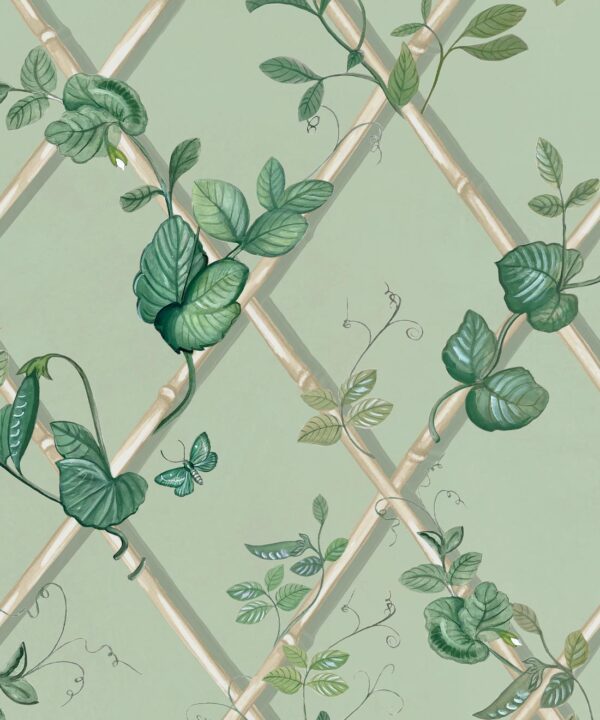 Grande Ivy Wallpaper • Sage & Cane • Swatch