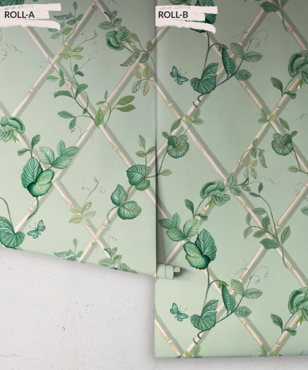 Grande Ivy Wallpaper • Sage & Cane • Rolls