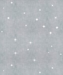 Southern Skies Wallpaper for the ceiling