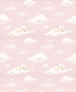 Dreamy Wallpaper for the ceiling