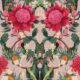 Kingdom Home • Waratah Medley • Coral