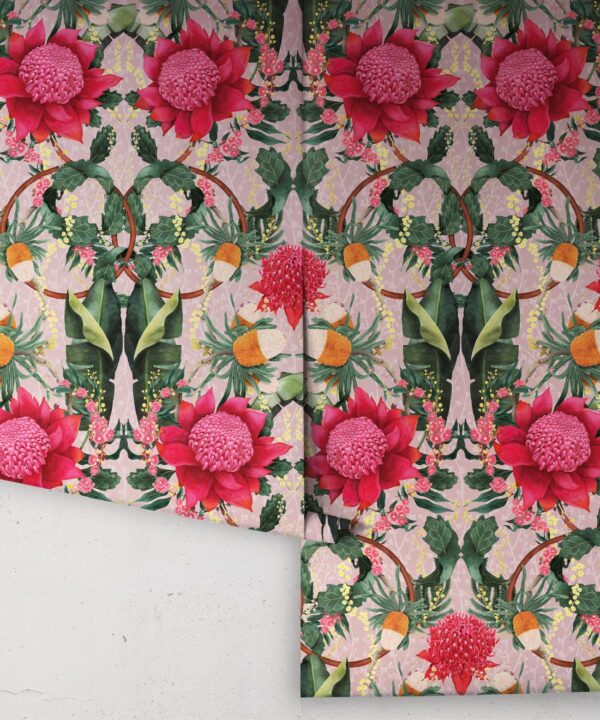 Kingdom Home • Waratah Medley • Coral