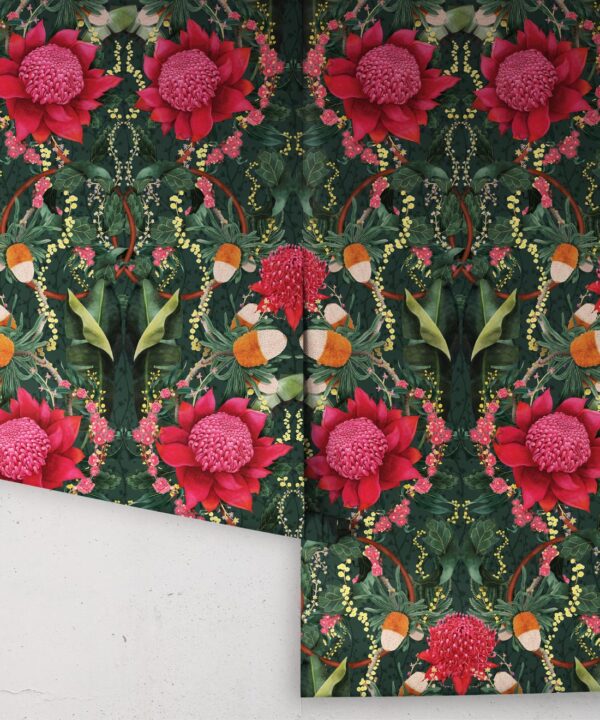 Kingdom Home • Waratah Medley • Evergreen