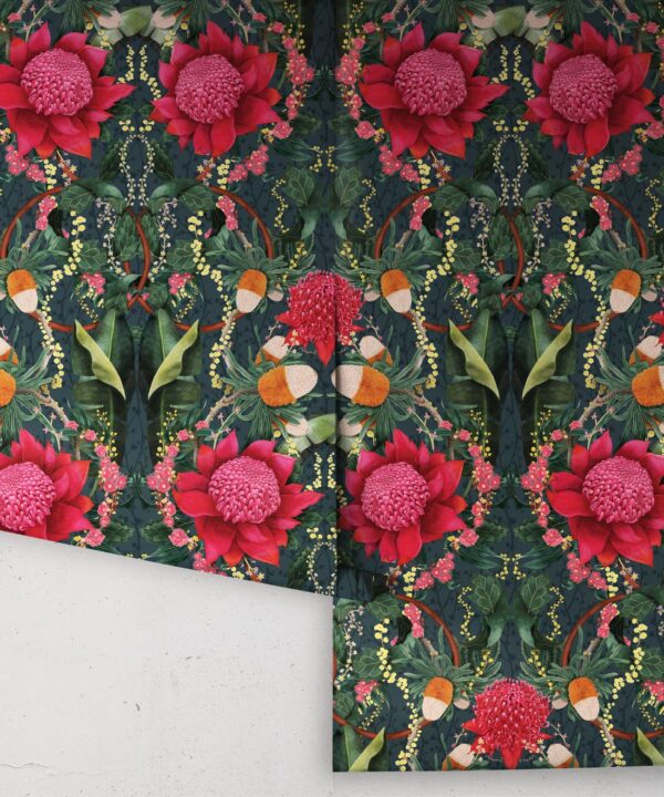 Kingdom Home • Waratah Medley • Marine