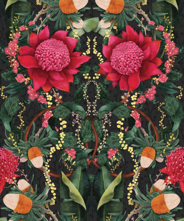 Kingdom Home • Waratah Medley • Night