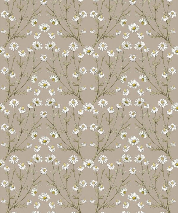 Wallpaper Republic - Floral Emporium Collection - Daisy Damask - Linen - Swatch