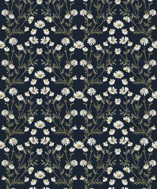 Wallpaper Republic - Floral Emporium Collection - Daisy Damask - Navy - Swatch