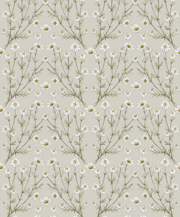 Wallpaper Republic - Floral Emporium Collection - Daisy Damask - Stone - Swatch