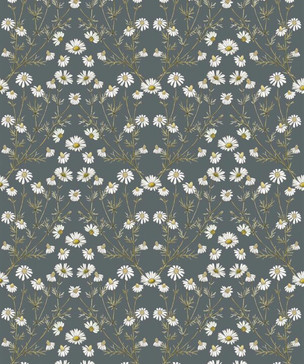 Wallpaper Republic - Floral Emporium Collection - Daisy Damask - Slate Grey - Swatch