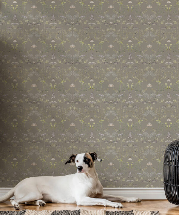 Wallpaper Republic - Floral Emporium Collection - Queen Anne’s Lace - Sage Grey - Insitu