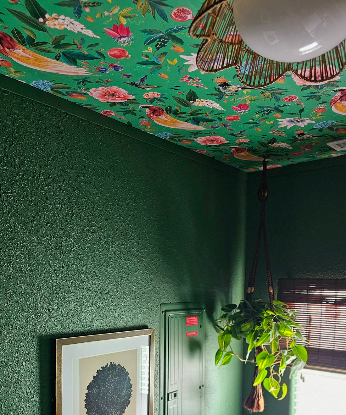 Gardenia wallpaper • Wallpaper on the ceiling in the laundry room