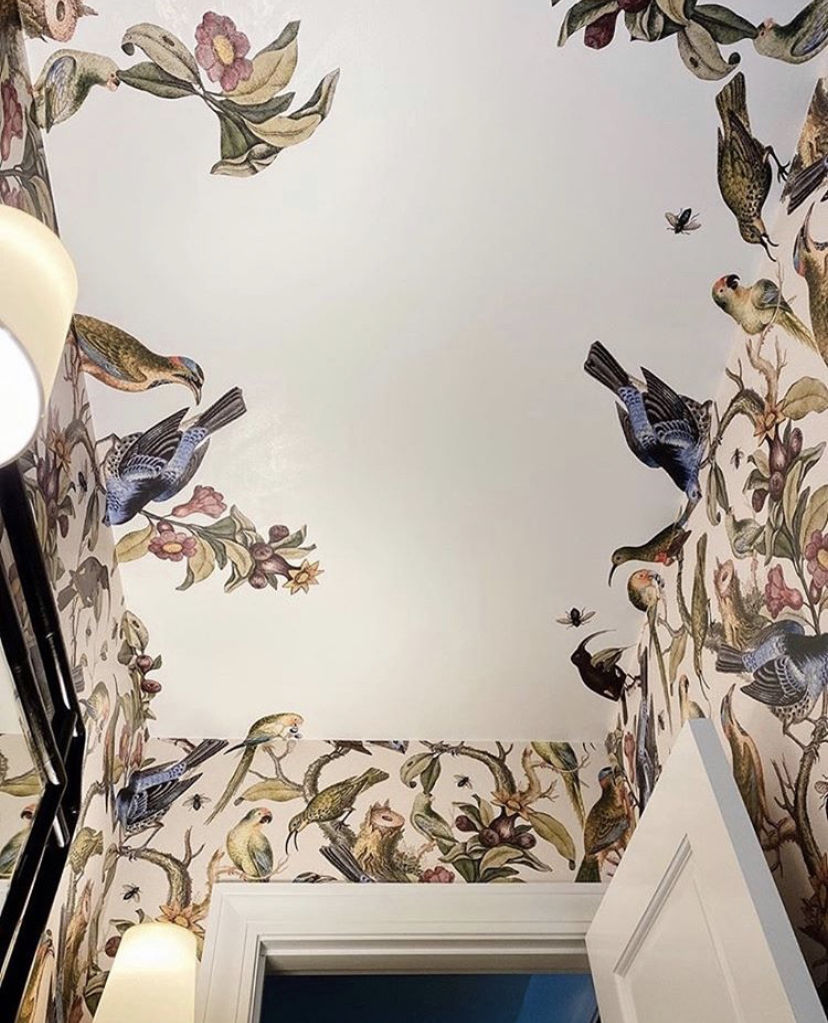 Ornithology Wallpaper • Cutting out elements of the wallpaper and extending it from the wall and onto the ceiling