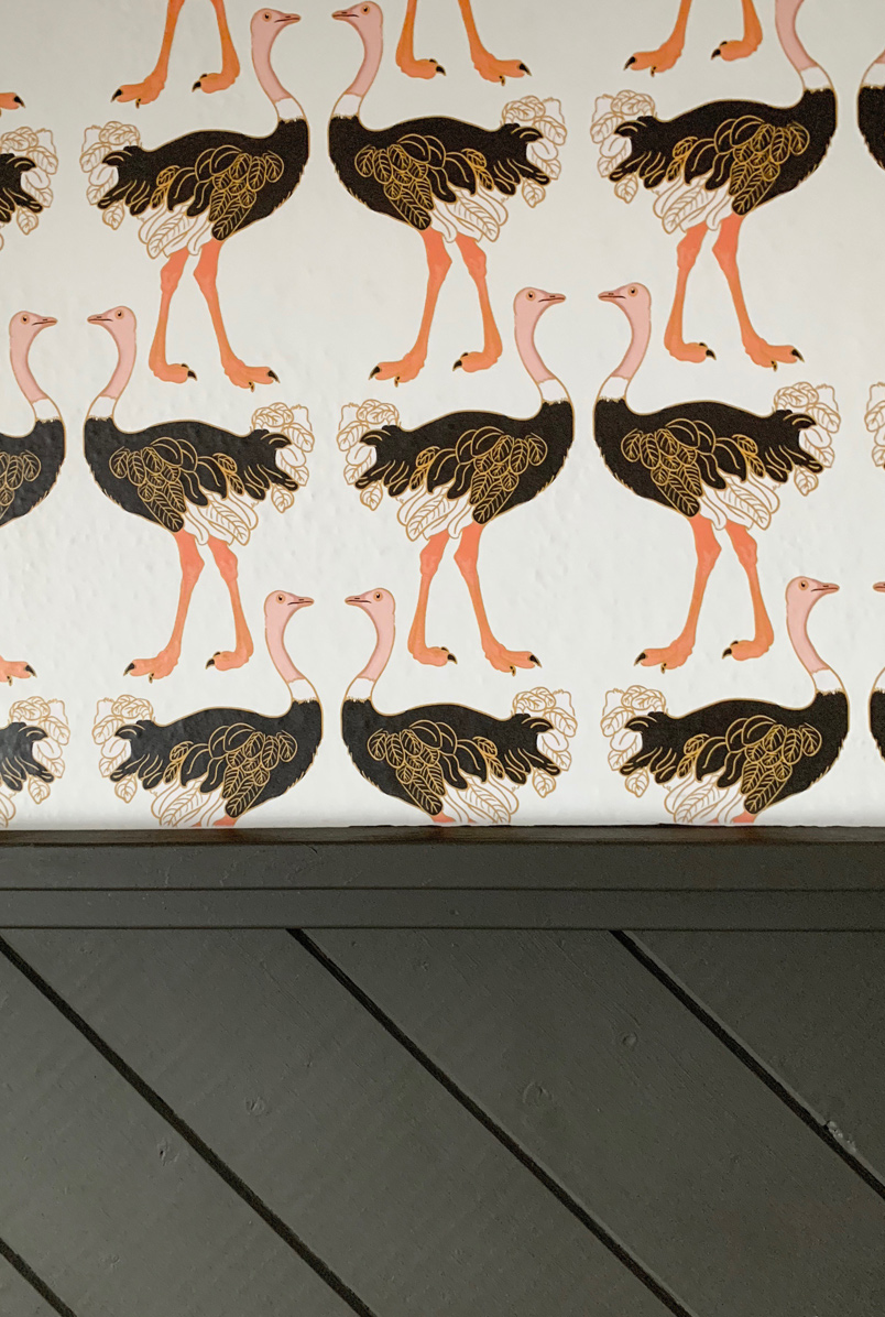 Prepare Your Walls For Ostrich Strut Wallpaper