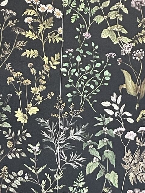 Herbarium Herbs Wallpaper with a seam