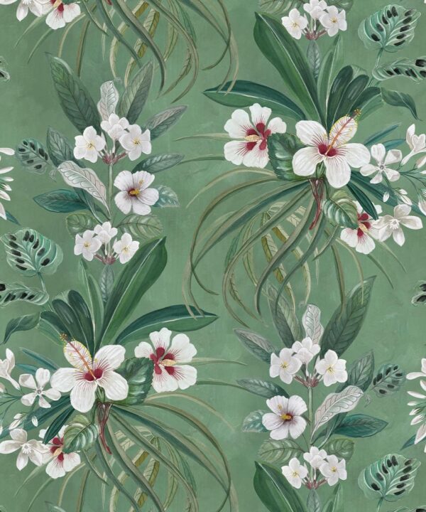 Hibiscus at Double Bay Wallpaper - Bethany Linz - My Sydney Collection - Colourway: Green - Swatch