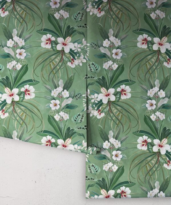 Hibiscus at Double Bay Wallpaper - Bethany Linz - My Sydney Collection - Colourway: Green - Rolls