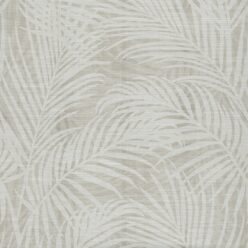 Plaster