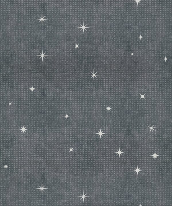 Southern Skies Grasscloth Wallpaper - Colourway: Dark Blue - Pattern Play Collection
