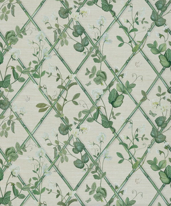 Petite Climbing Sweet Pea Grasscloth Wallpaper