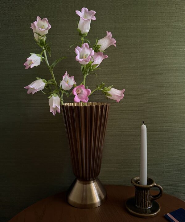 Earthen Olive Grasscloth Wallpaper - Image 2
