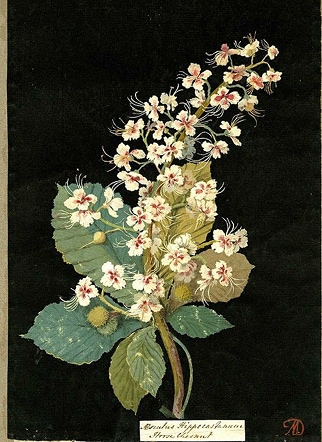 Inspiration - Tradition Reimagined for Today