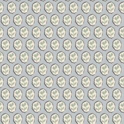 Periwinkle