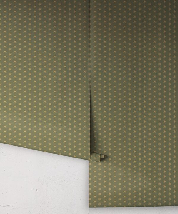 Tudor Star Wallpaper - Image 18
