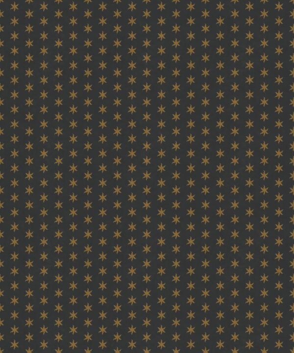 Tudor Star Wallpaper - Image 19