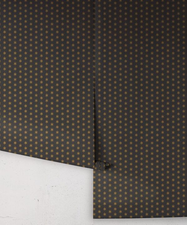 Tudor Star Wallpaper - Image 21