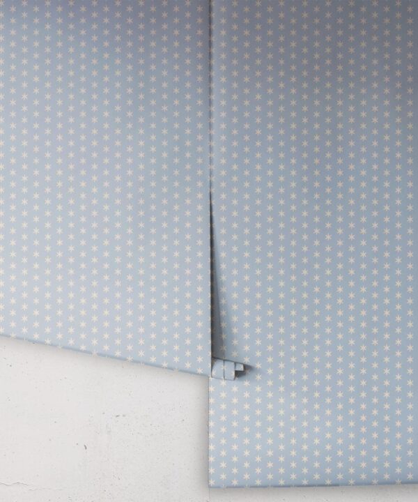 Tudor Star Wallpaper - Image 24