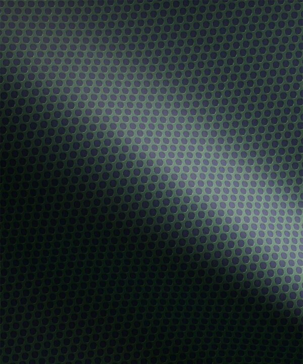 Spot Wallpaper - Image 3